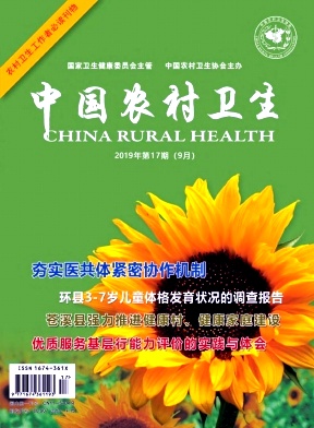 ​《中国农村卫生》范例